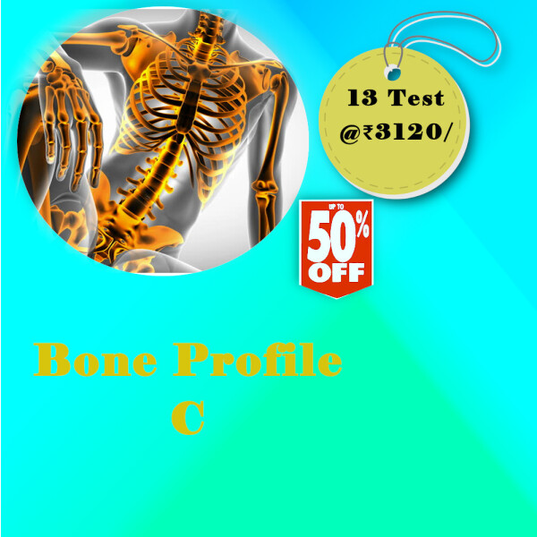bone Profile C @ 3120