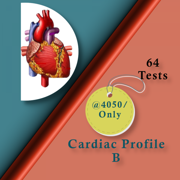 cardiac profile b @ 4050